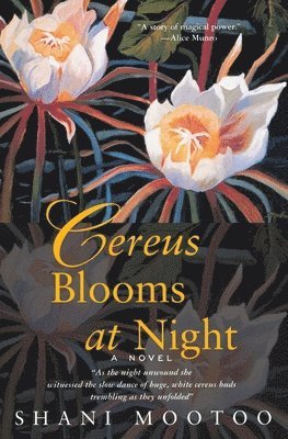 Cereus Blooms At Night 1