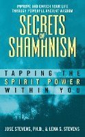 bokomslag Secrets Of Shamanism