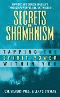 bokomslag Secrets Of Shamanism