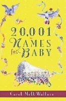 bokomslag 20,001 Names for Baby