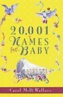 bokomslag 20,001 Names for Baby