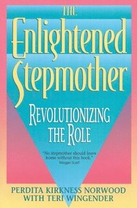 bokomslag Enlightened Stepmother