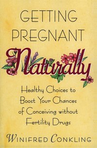 bokomslag Getting Pregnant Naturally