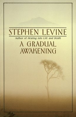 Stephen Levine - A Gradual Awakening, Häftad