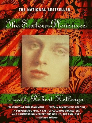 bokomslag The Sixteen Pleasures