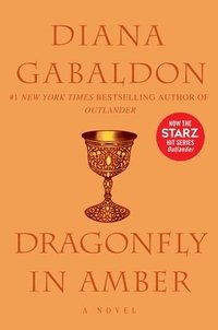 bokomslag Dragonfly in Amber