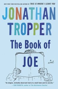 bokomslag Book of Joe