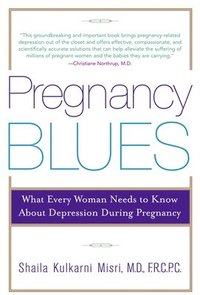 bokomslag Pregnancy Blues