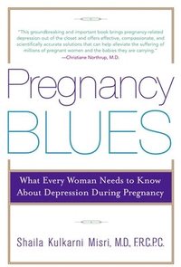 bokomslag Pregnancy Blues: What Every Woman Needs to Know about Depression During Pregnancy