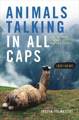 bokomslag Animals Talking in All Caps