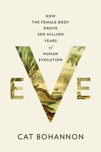 bokomslag Eve: How the Female Body Drove 200 Million Years of Human Evolution