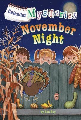 bokomslag Calendar Mysteries #11: November Night