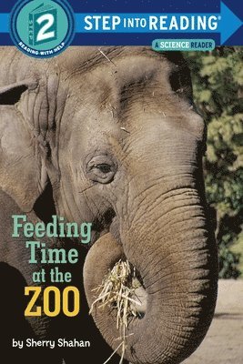 bokomslag Feeding Time at the Zoo