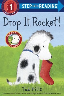 Drop It, Rocket! 1