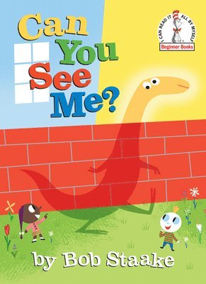 Bob Staake - Can You See Me?, Inbunden