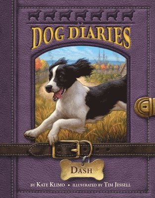 bokomslag Dog Diaries #5: Dash