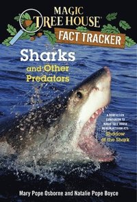 bokomslag Sharks and Other Predators