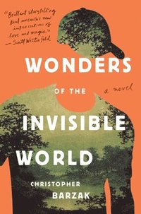 bokomslag Wonders of the Invisible World