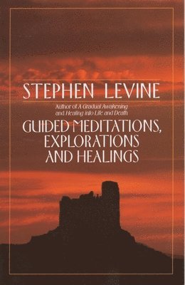bokomslag Guided Meditations, Explorations and Healings