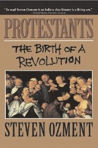 bokomslag Protestants