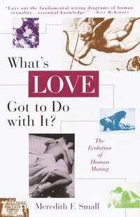 bokomslag What's Love Got to Do with It?