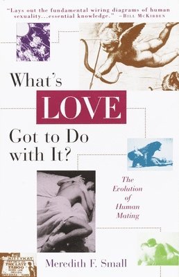 bokomslag What's Love Got to Do with It?