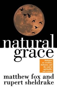 bokomslag Natural Grace: Dialogues on Creation, Darkness, and the Soul in Spirituality and Science