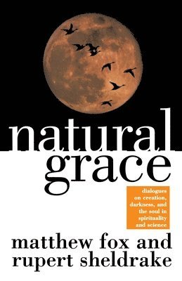 bokomslag Natural Grace: Dialogues on Creation, Darkness, and the Soul in Spirituality and Science