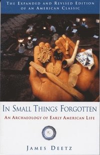 bokomslag In Small Things Forgotten