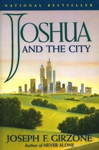 bokomslag Joshua and the City