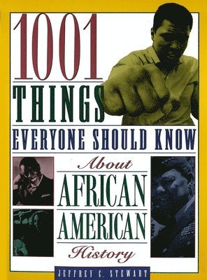 Jeffrey C. Stewart - 1001 Things Everyone Should Know about African American History, Häftad