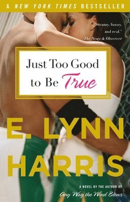 E. Lynn Harris - Just Too Good to Be True, Häftad
