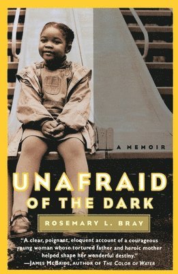 bokomslag Unafraid of the Dark