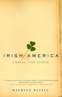 bokomslag Irish America: Coming Into Clover