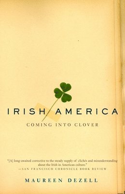 bokomslag Irish America