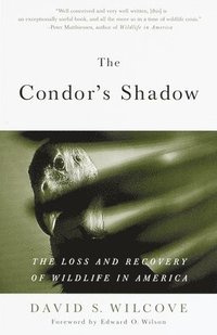 bokomslag The Condor's Shadow: The Loss and Recovery of Wildlife in America
