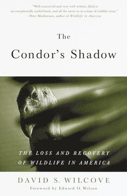 bokomslag The Condor's Shadow: The Loss and Recovery of Wildlife in America