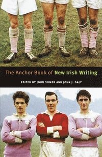 bokomslag The Anchor Book of New Irish Writing