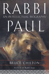 bokomslag Rabbi Paul: An Intellectual Biography