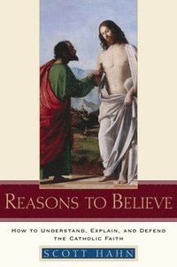 bokomslag Reasons To Believe