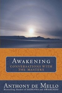 bokomslag Awakening: Conversations with the Masters