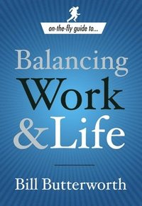 bokomslag On-The-Fly Guide To Balancing Work And Life