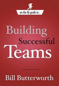 bokomslag On-the-Fly Guide to Building Successful Teams