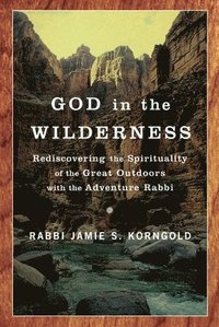 bokomslag God In The Wilderness