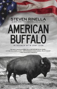 bokomslag American Buffalo