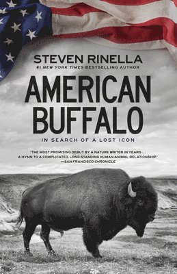 American Buffalo 1