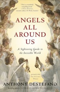 bokomslag Angels All Around Us: A Sightseeing Guide to the Invisible World