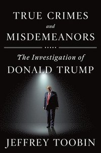 bokomslag True Crimes and Misdemeanors