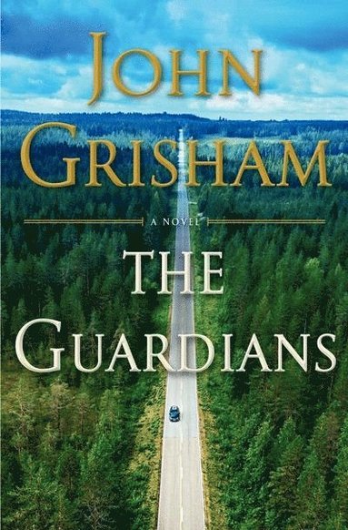 bokomslag The Guardians