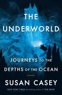 bokomslag The Underworld: Journeys to the Depths of the Ocean